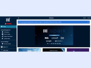 bmi management