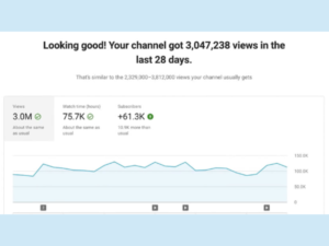youtube promotion (2)